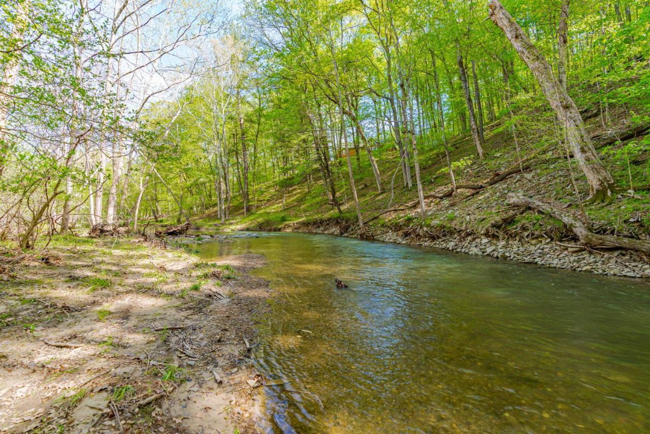 River Access Cabin With Hot Tub, Fire Pit, & Wifi! Morton Grove Extérieur photo